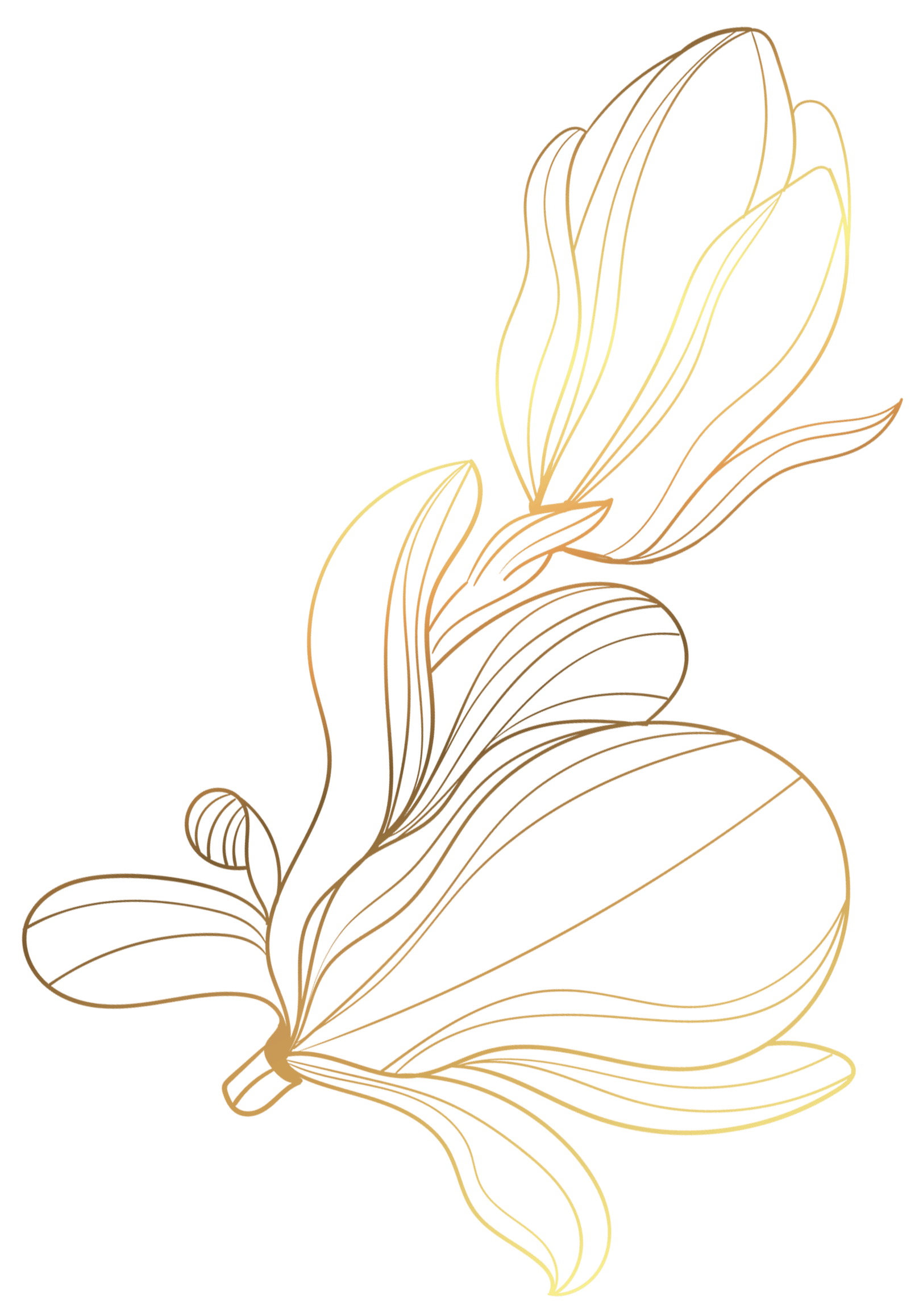 Decoración Izquierda